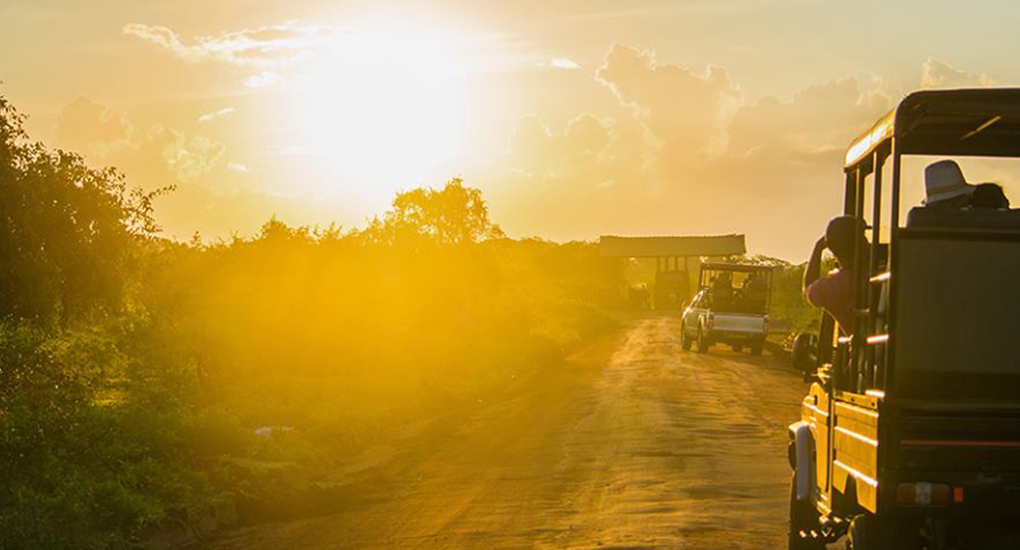 Yala National Park Jeep Safari