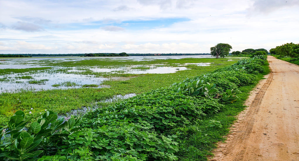 Yodha Wewa irrigating through the paddy fields